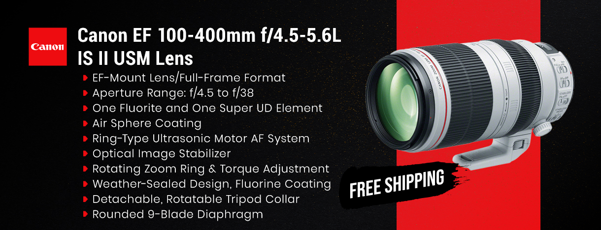 canon ef-100-400mm f 4-5-5-6l ii image stabilizer usm lens-77mm