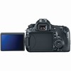 Canon EOS-60D 18.1 Megapixel Digital Camera (Body)