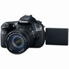 Canon EOS-60D 18.0 MP Digital Camera W/ Canon 18-135mm IS Lens