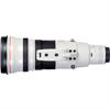Canon EF 500mm f/4L EF IS II USM Lens