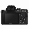 Sony Alpha a7S 12.2 Megapixel Mirrorless Digital Camera
