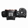 Sony Alpha a7S 12.2 Megapixel Mirrorless Digital Camera