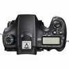 Sony Alpha a77II 24.3 Megapixel Digital Camera ( Body )