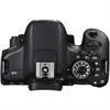 Canon EOS Rebel T6i 24.2 Megapixel DSLR Camera (Body Only)
