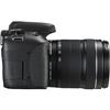 Canon EOS Rebel T6i 24.2 Megapixel DSLR Camera W/ 18-135mm IS Lens