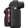 Sony Alpha A7II Mirrorless Digital Camera (Body)