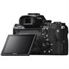 Sony Alpha A7II Mirrorless Digital Camera (Body)