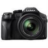 Panasonic Lumix DMC-FZ300 12.1 Megapixel Digital Camera