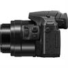 Panasonic Lumix DMC-FZ300 12.1 Megapixel Digital Camera