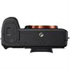 Sony Alpha a7RII 42.0 Megpaixel Digital Camera ( Body )