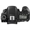 Canon EOS 80D 24.2 Megapixel Digital Camera - Body