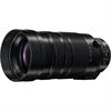 Panasonic 100-400mm f/4-6.3 ASPH.POWER Leica DG Vario-O.I.S. Lens(72mm)