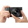 Panasonic Lumix DMC-ZS100 20.1 Megapixel Digital Camera (Black)