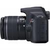 Canon EOS Rebel T6 18.0 Megapixel DSLR Camera (Body)