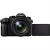 Panasonic Lumix DMC-FZ2500 20.1 Megapixel Digital Camera