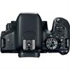 Canon EOS Rebel T7i 24.2 Megapixel DSLR Camera (Body)