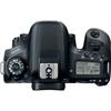Canon EOS 77D 24.2 Megapixel DSLR Camera (Body)