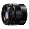 Panasonic LUMIX G VARIO 35-100mm f/4.0-5.6 ASPH. O.I.S. Lens (46mm)