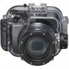 Sony RX100-Series Cameras for Underwater Housing