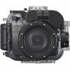 Sony RX100-Series Cameras for Underwater Housing