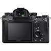Sony Alpha a9 24.2 Megapixel Mirrorless Digital Camera (Body)