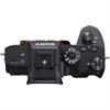 Sony Alpha a7R III 42.0 Megapixel Digital Camera ( Body )