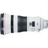 Canon EF 400mm f/2.8L IS III USM IS Telephoto Lens