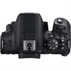 Canon EOS Rebel T8i 24.1 Megapixel DSLR Camera (Body)