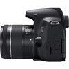 Canon EOS Rebel T8i 24.1 Megapixel DSLR Camera (Body)
