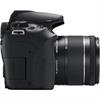 Canon EOS Rebel T8i 24.1 Megapixel DSLR Camera (Body)