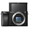Sony A6100 Mirrorless Digital Camera (Body)