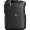 Sony A6100 Mirrorless Digital Camera (Body)