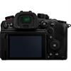 Panasonic DC-GH6 Mirrorless Camera (Body)