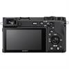 Sony a6600 Mirrorless Digital Camera (Body Only)