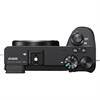 Sony a6600 Mirrorless Digital Camera (Body Only)