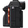 Sony Alpha a7R V Mirrorless Digital Camera (Body)