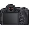 Canon EOS R6 Mirrorless Camera with 24-105mm f/4 Lens